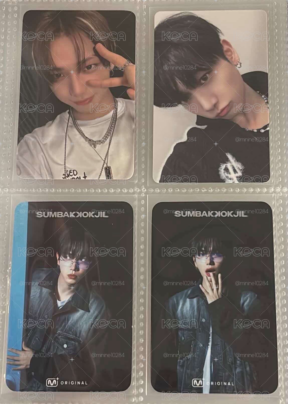 🐟明