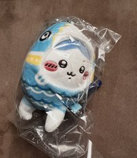 小八