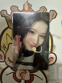 庫柏力克熊 代言卡