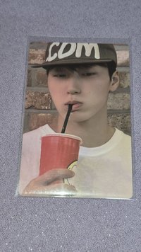 🐱（4）