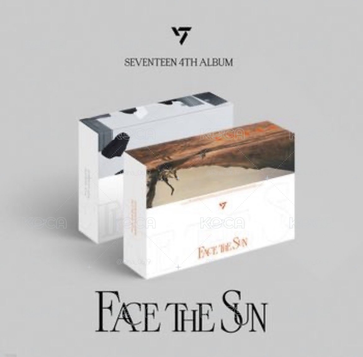 Seventeen Face the sun kit 珉奎 Mingyu