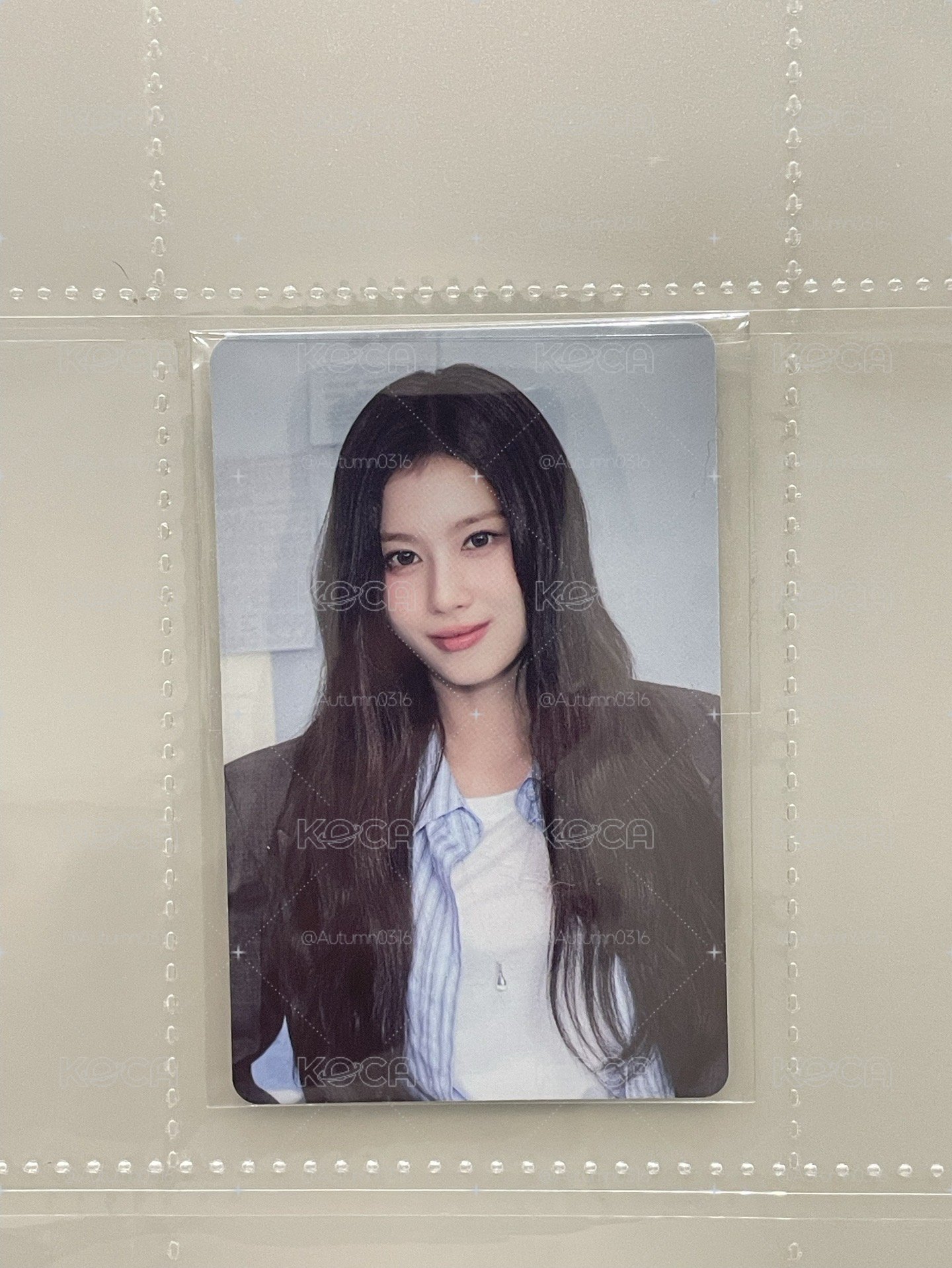 SANA 年曆特典