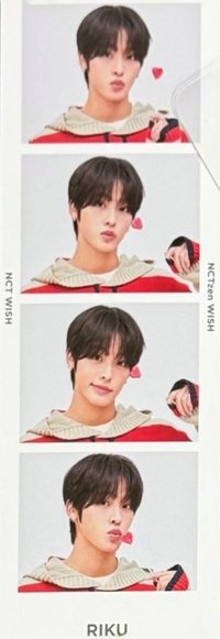 global membership wvs 2026會員禮 人生四格卡 