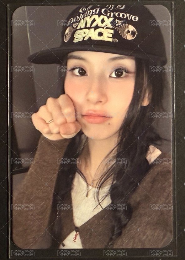 貓貓拳彩