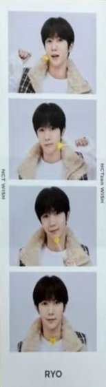 global membership wvs 2026會員禮 人生四格卡 