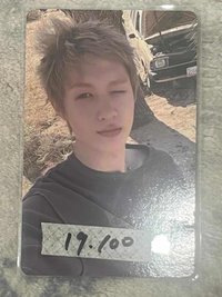 19.炸毛馬