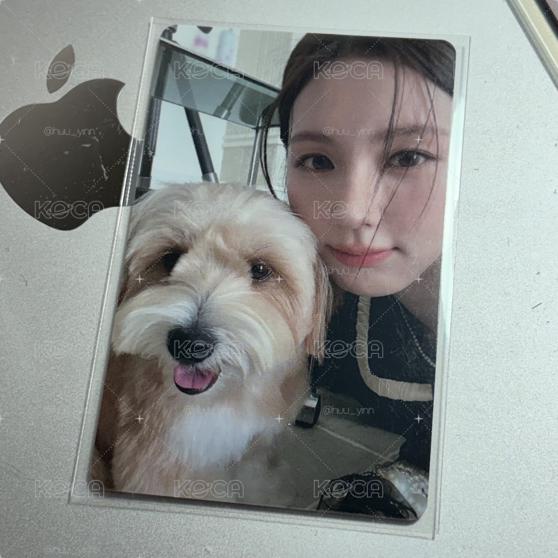 狗勾麵🐶中文卡背
