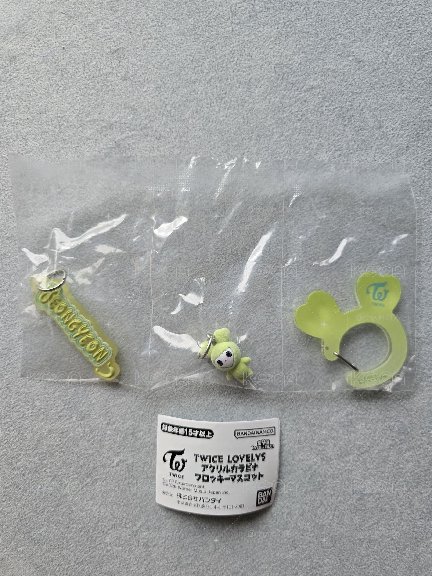 TWICE扭蛋登山扣：定延