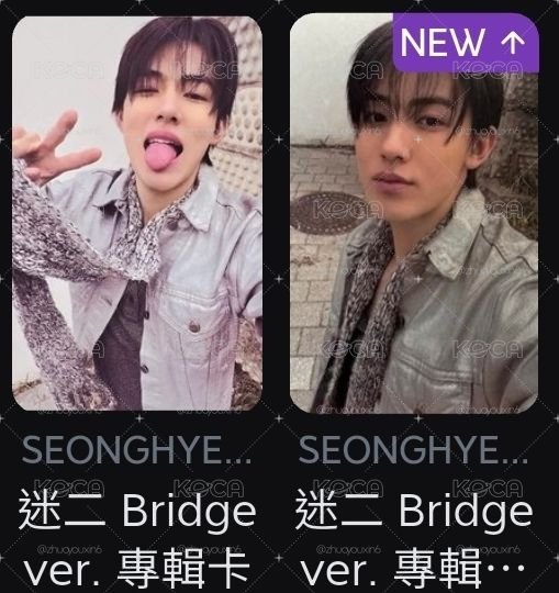 BRIDGE ver.全專