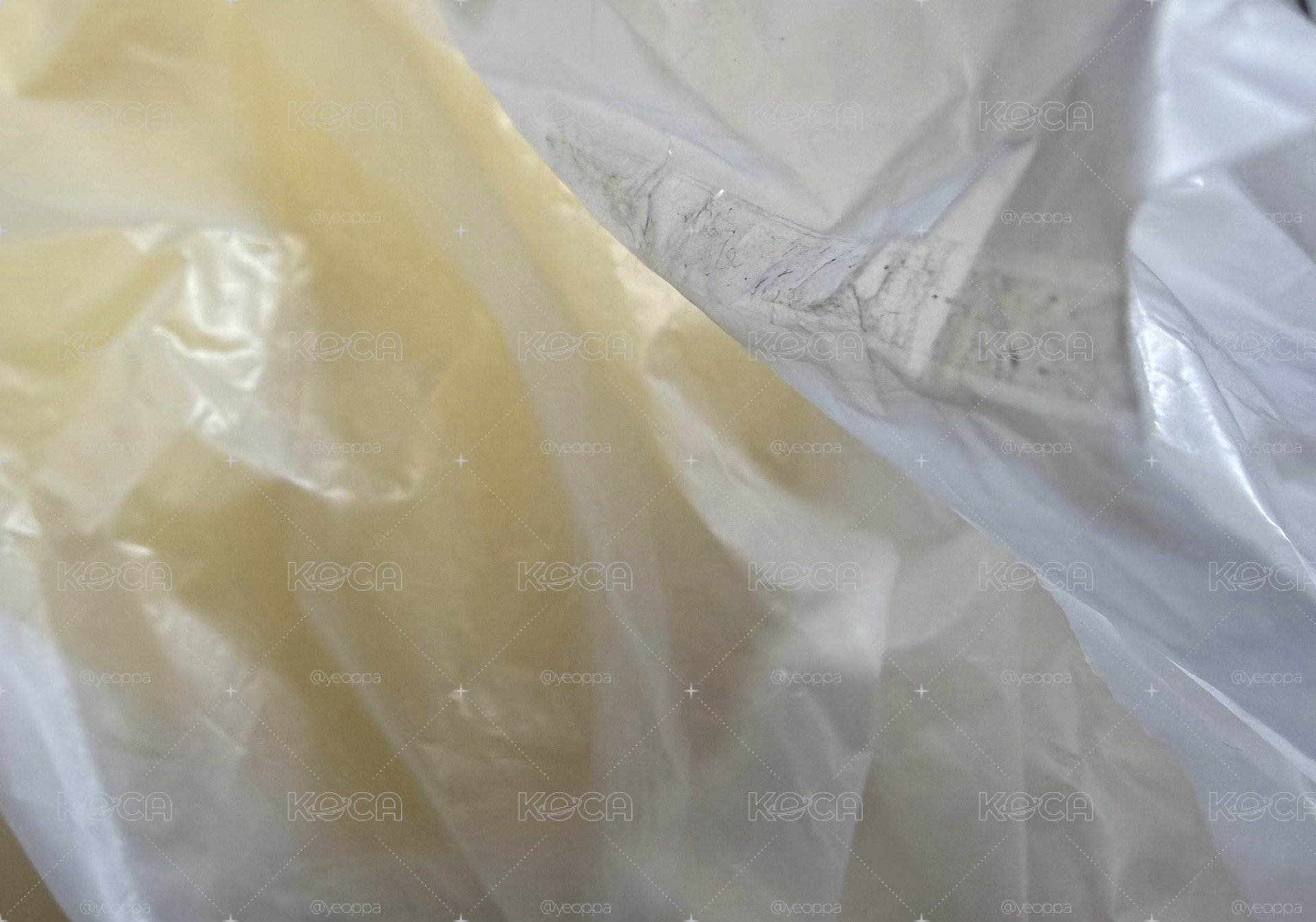 菲豆豆眼抱枕