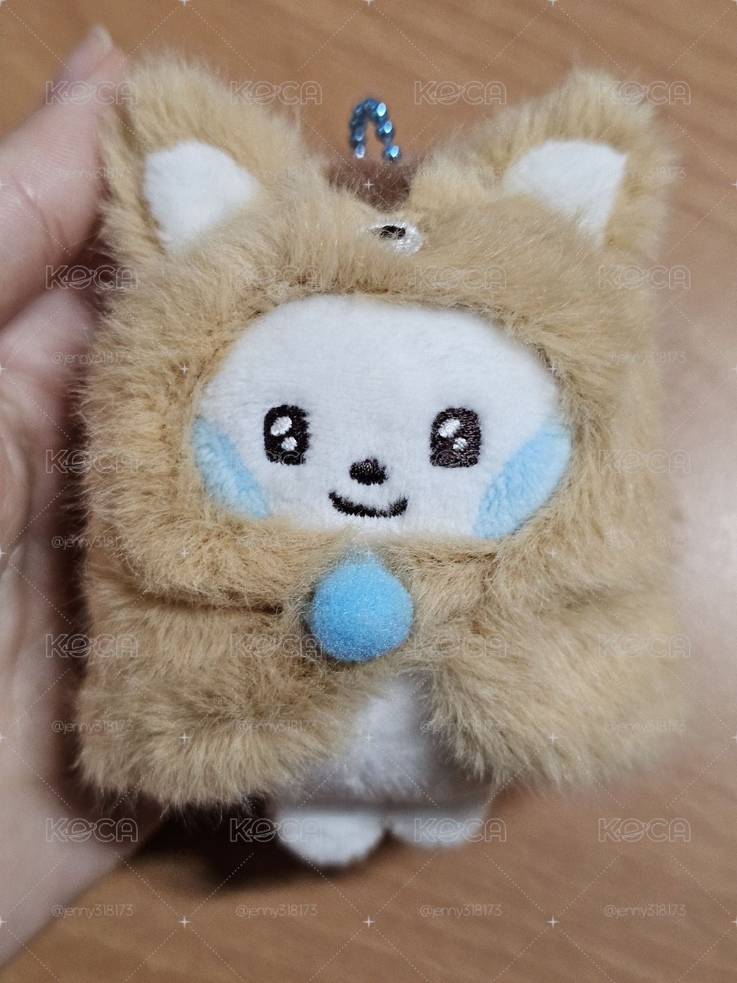 奎尼尼