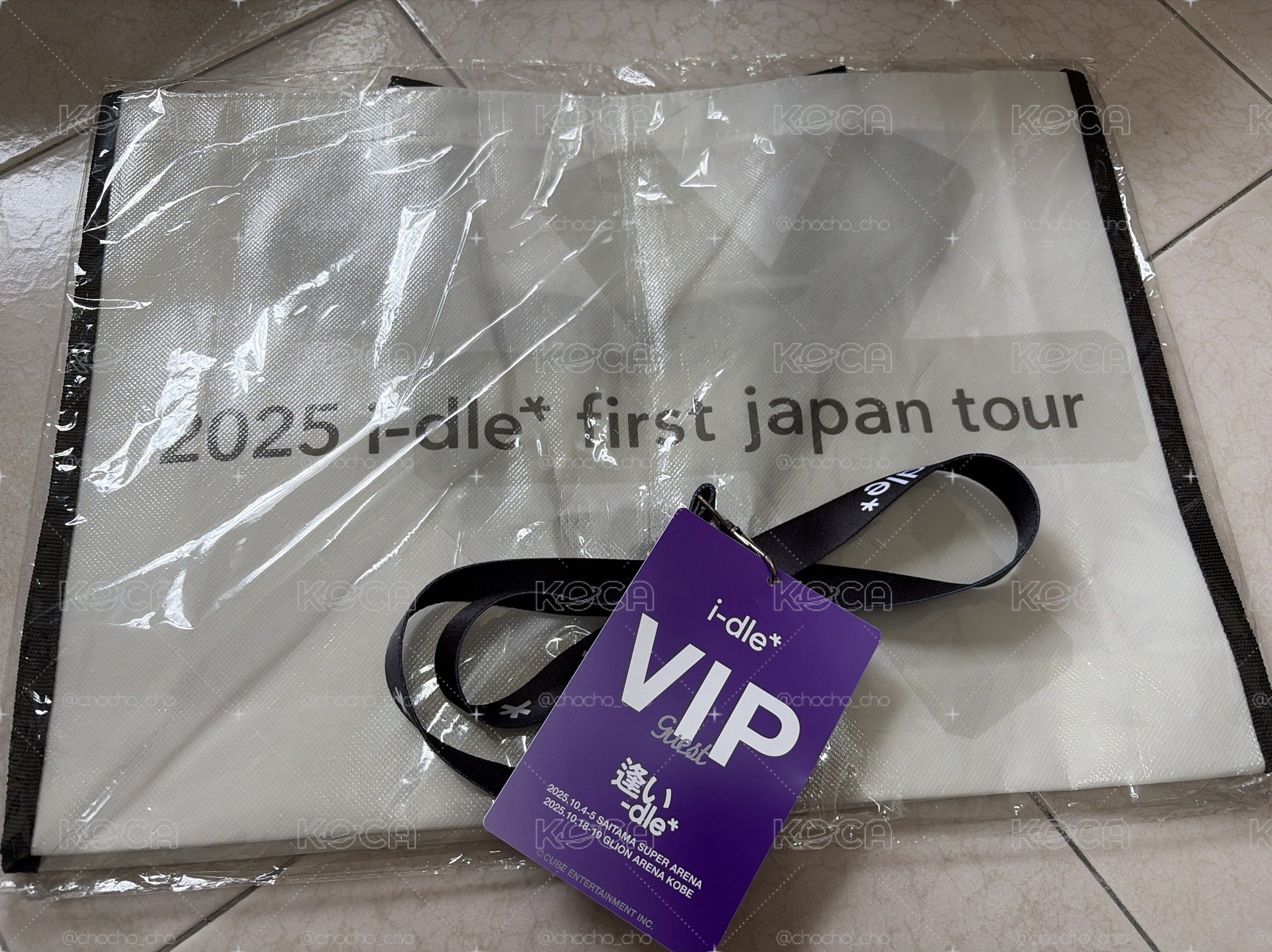 2025日巡 VIP 入場禮 