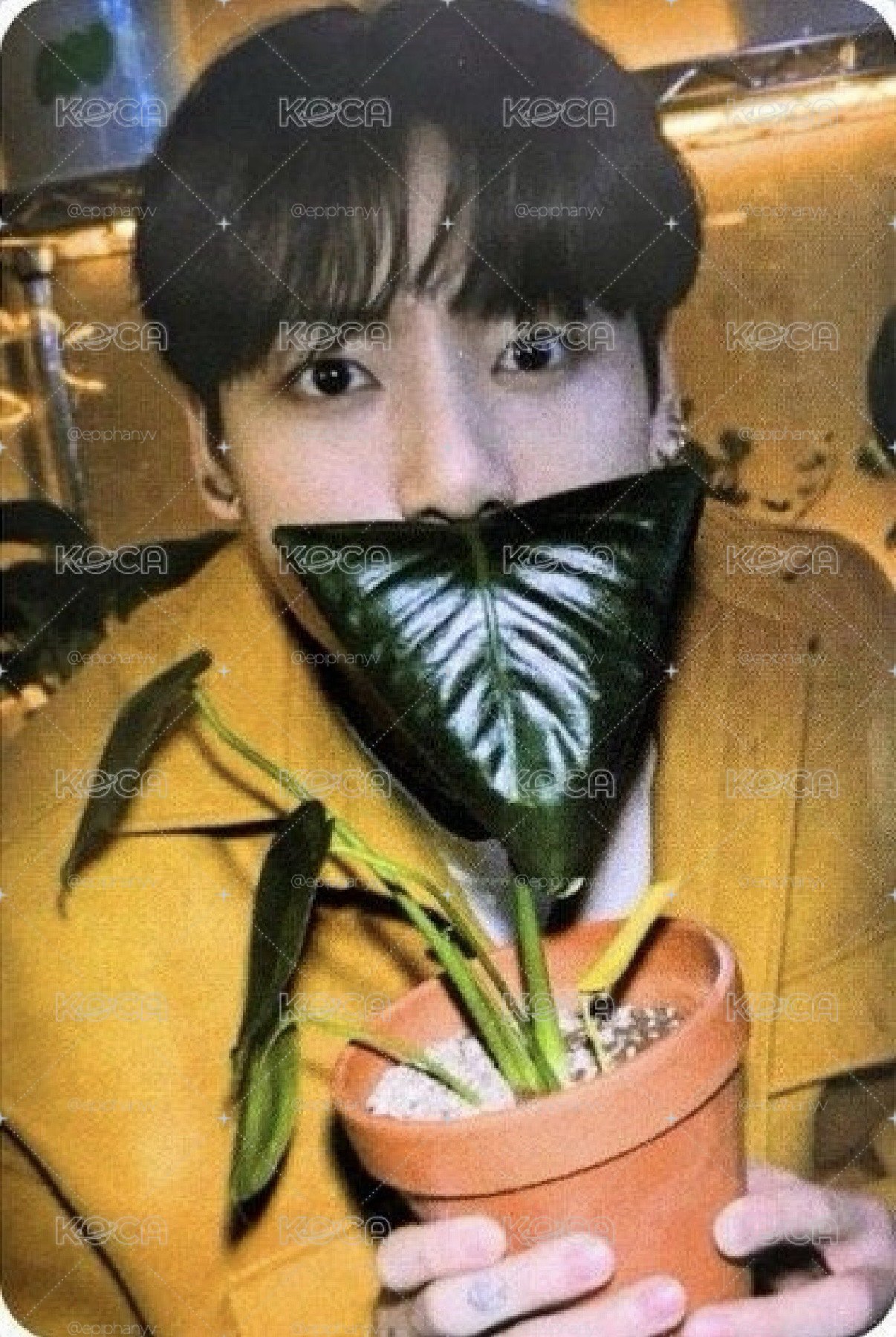 JUNGKOOK / PTD JPFC 日咖特典