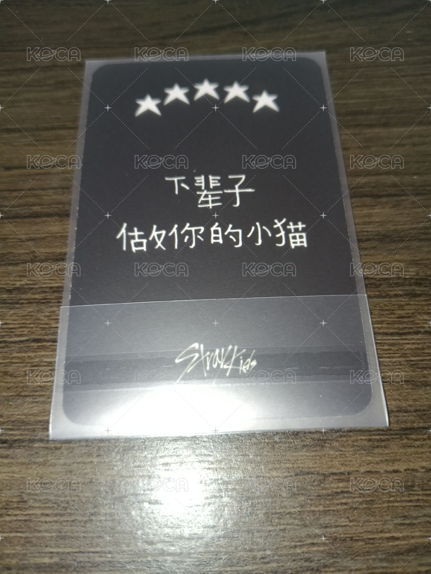 菲中背：下輩子做你的小貓