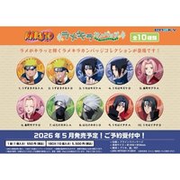 閃亮亮胸針收藏 全10種