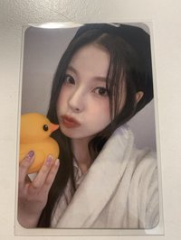 鴨子圭