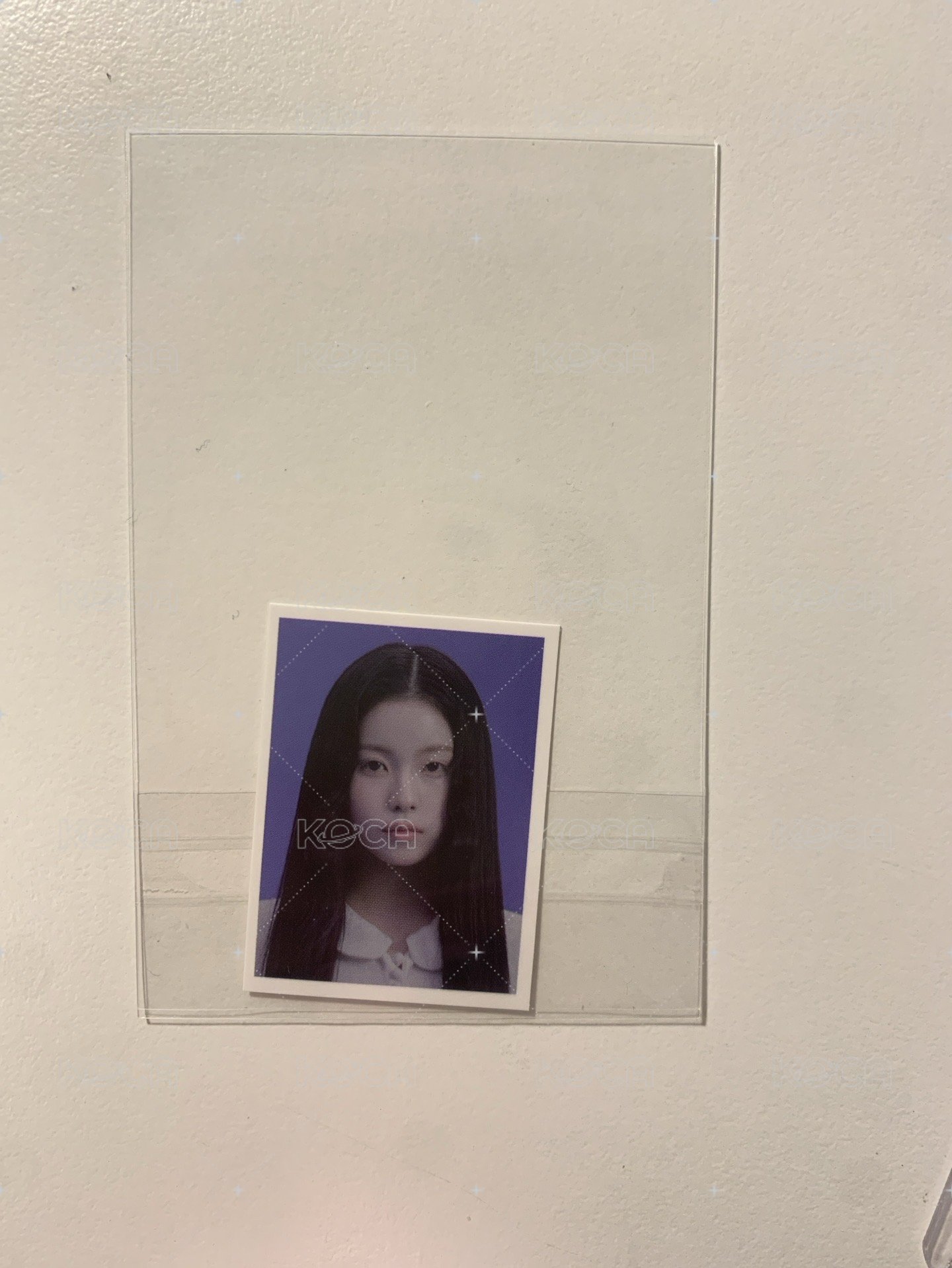 藍色情人節圭證件照（全收贈）