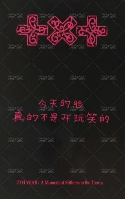 迷八 yzy pb版 特典卡  背面