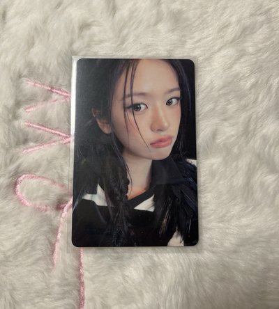 安叮叮小盤🐶