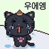 부니