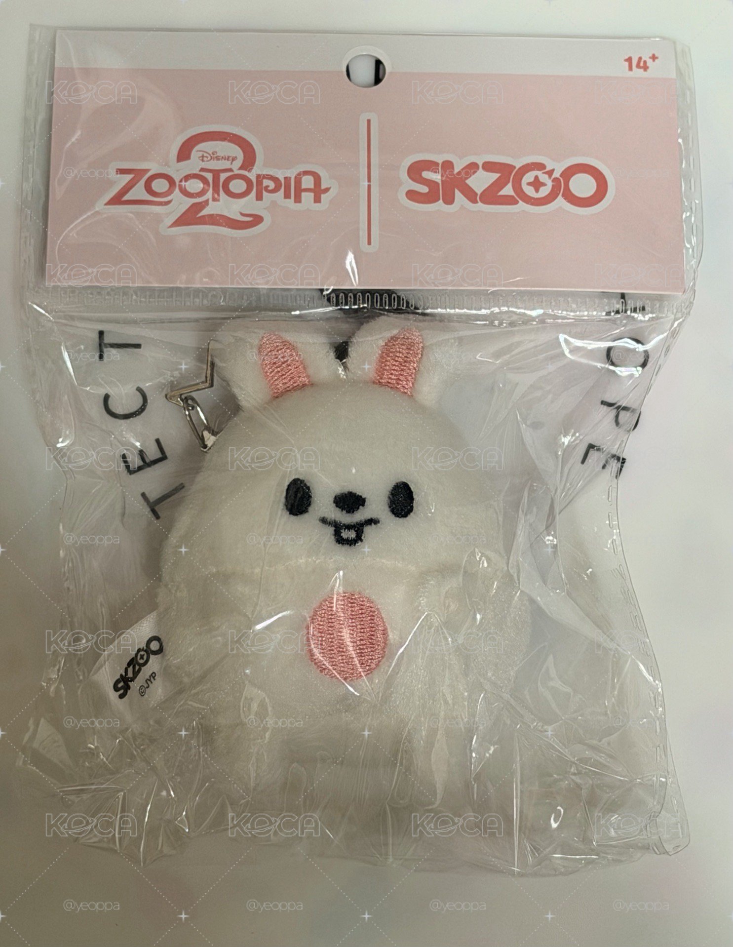 動物方城市 旻
