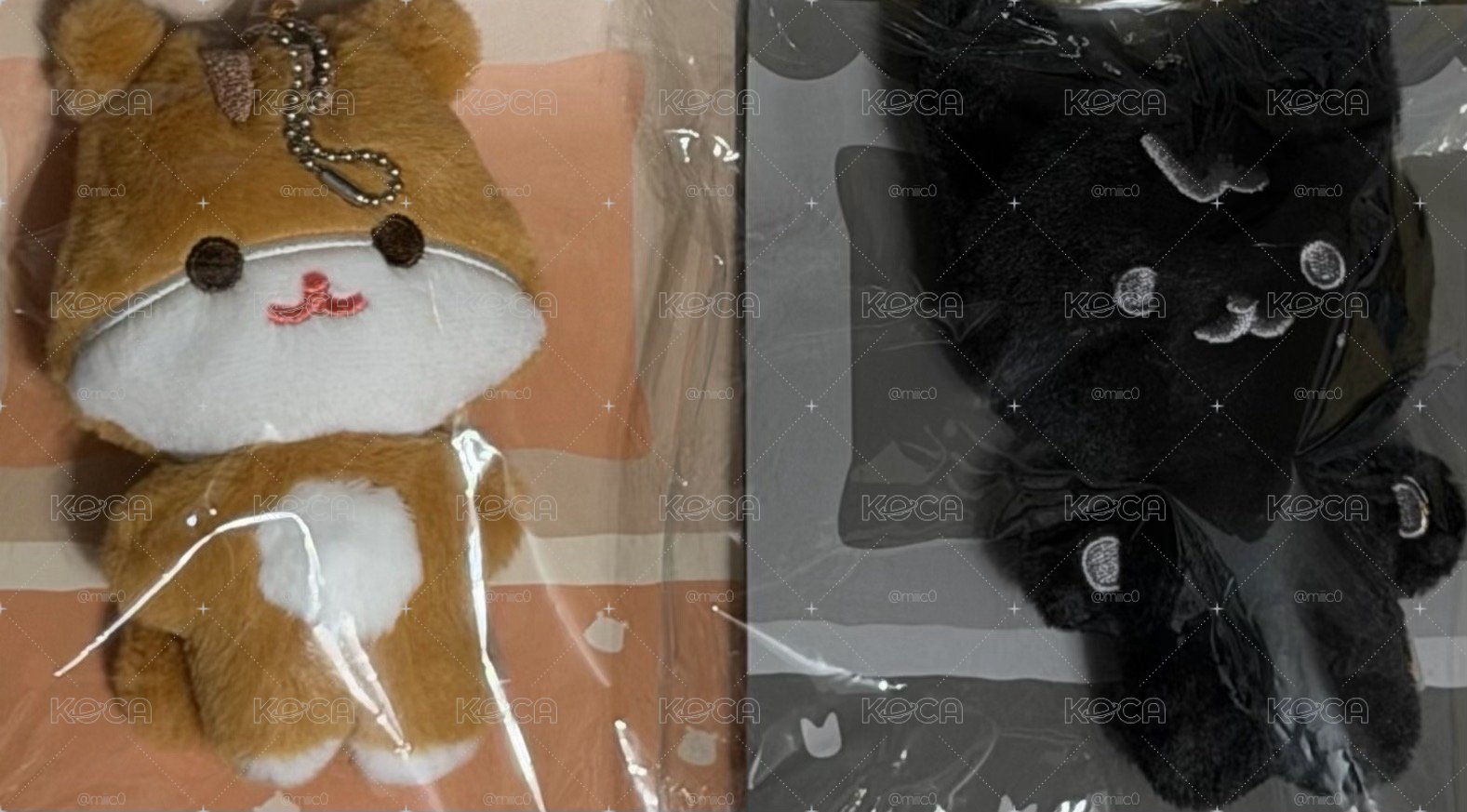 ANITEEZ IN TREASURE豆豆眼中榮含卡