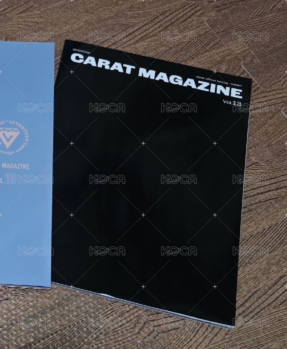 vol13