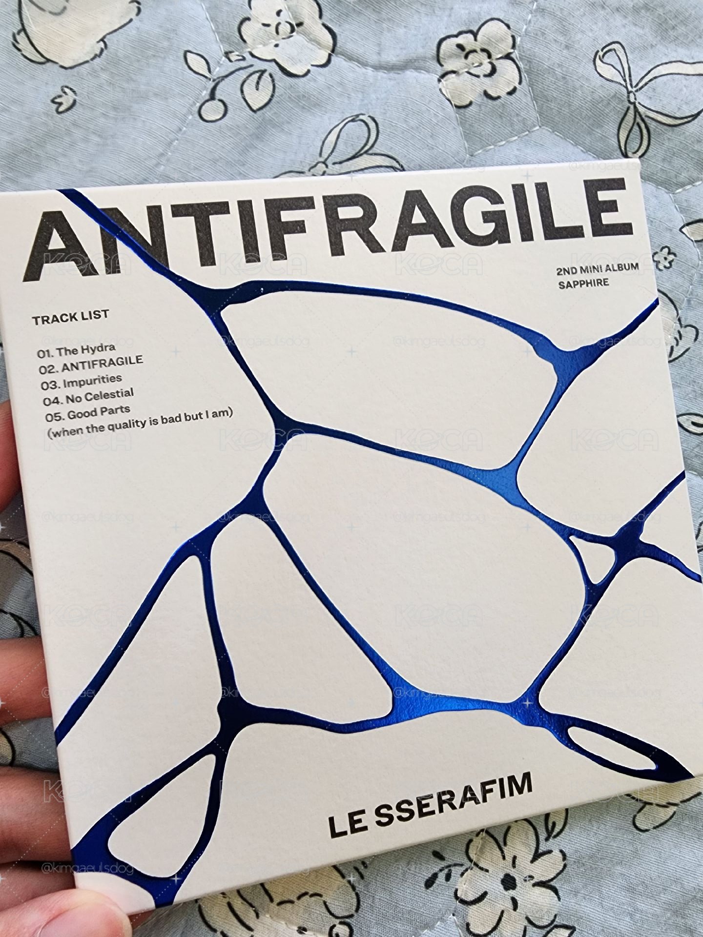 ANTIFRAGILE 中村一葉 單封 [SAPPHIRE ver.]