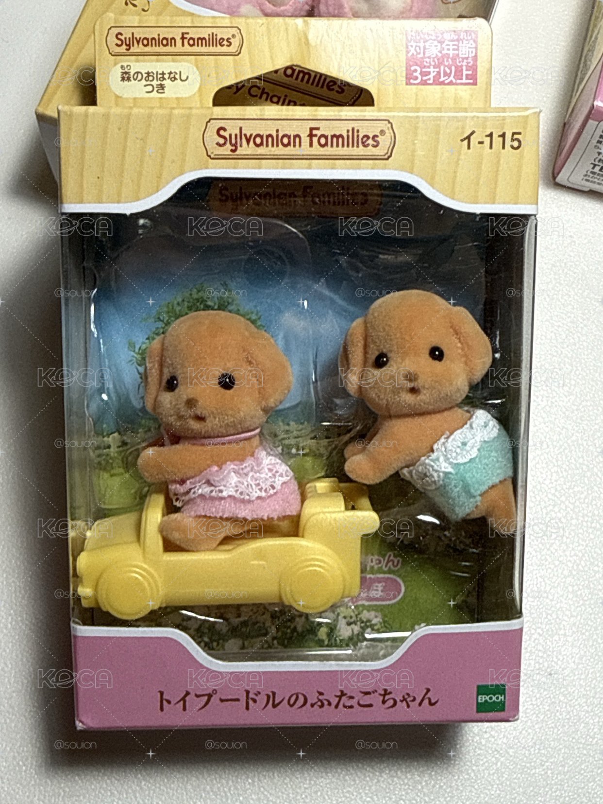 貴賓狗寶寶組