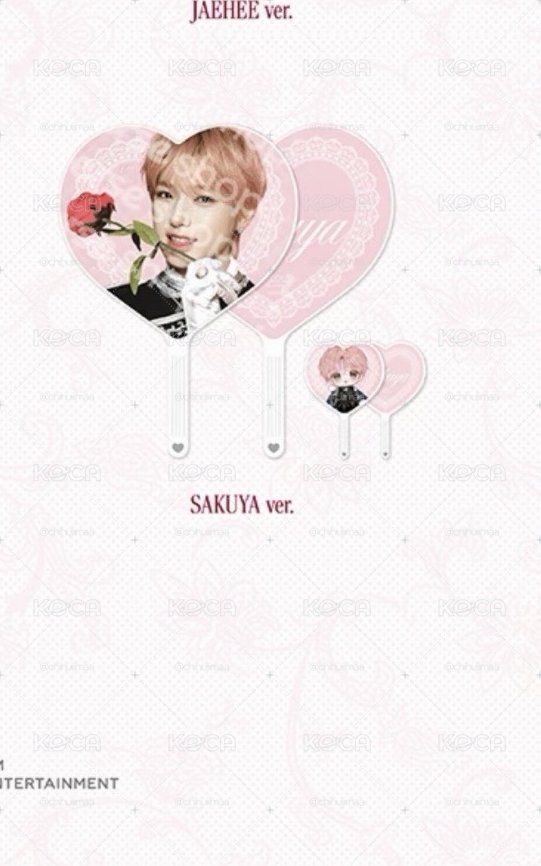 Nct wish 飯咪 sakuya大扇