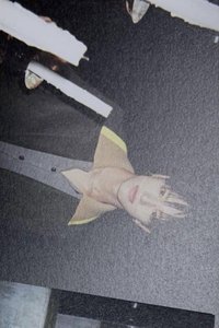 Mmchk 音樂中心 二周 打歌卡 明信片
