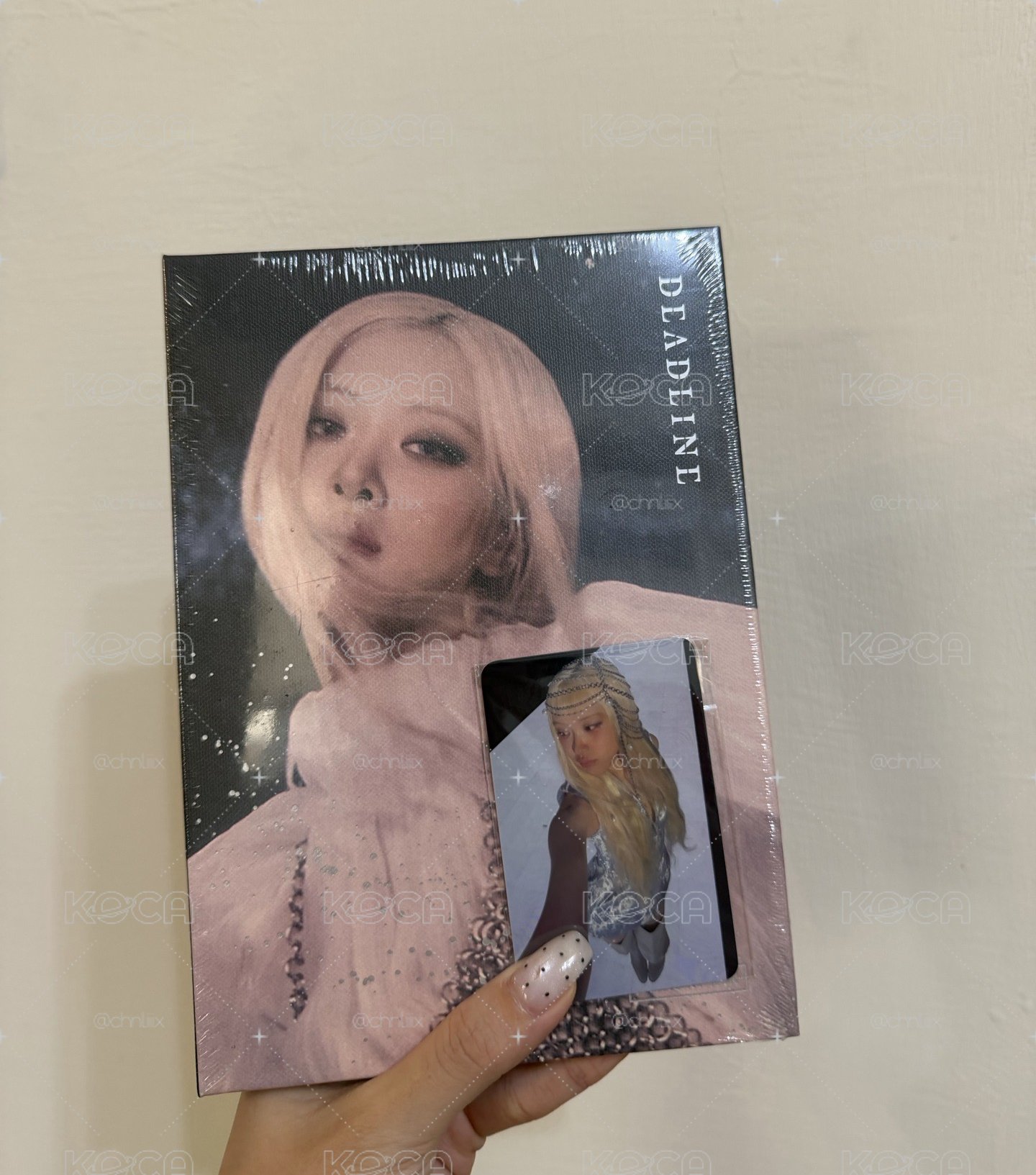 肉單封送預售禮隨一