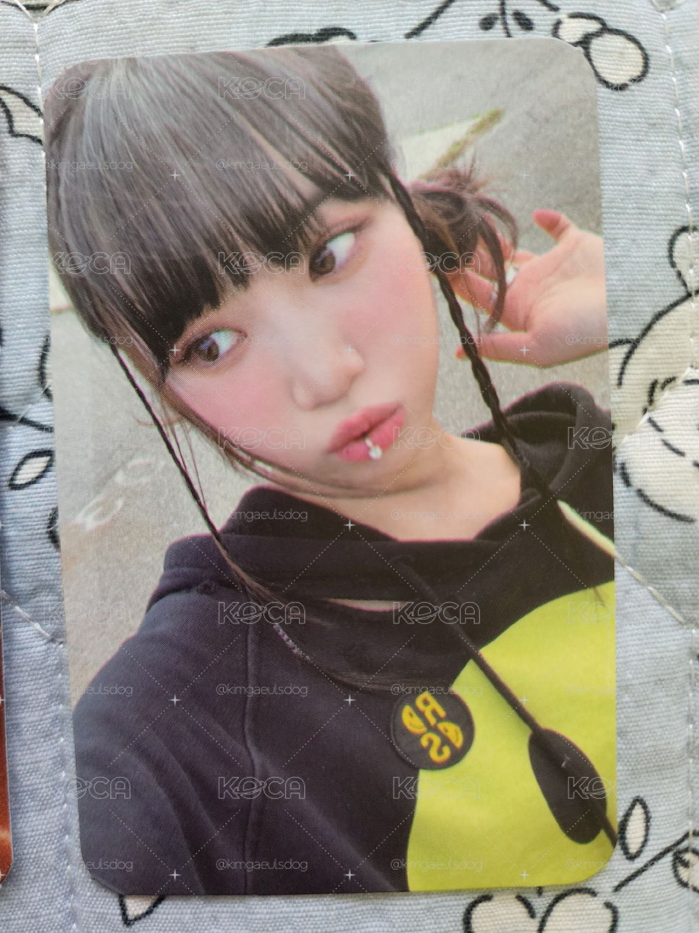 LSF ANTIFRAGILE Weverse卡盤