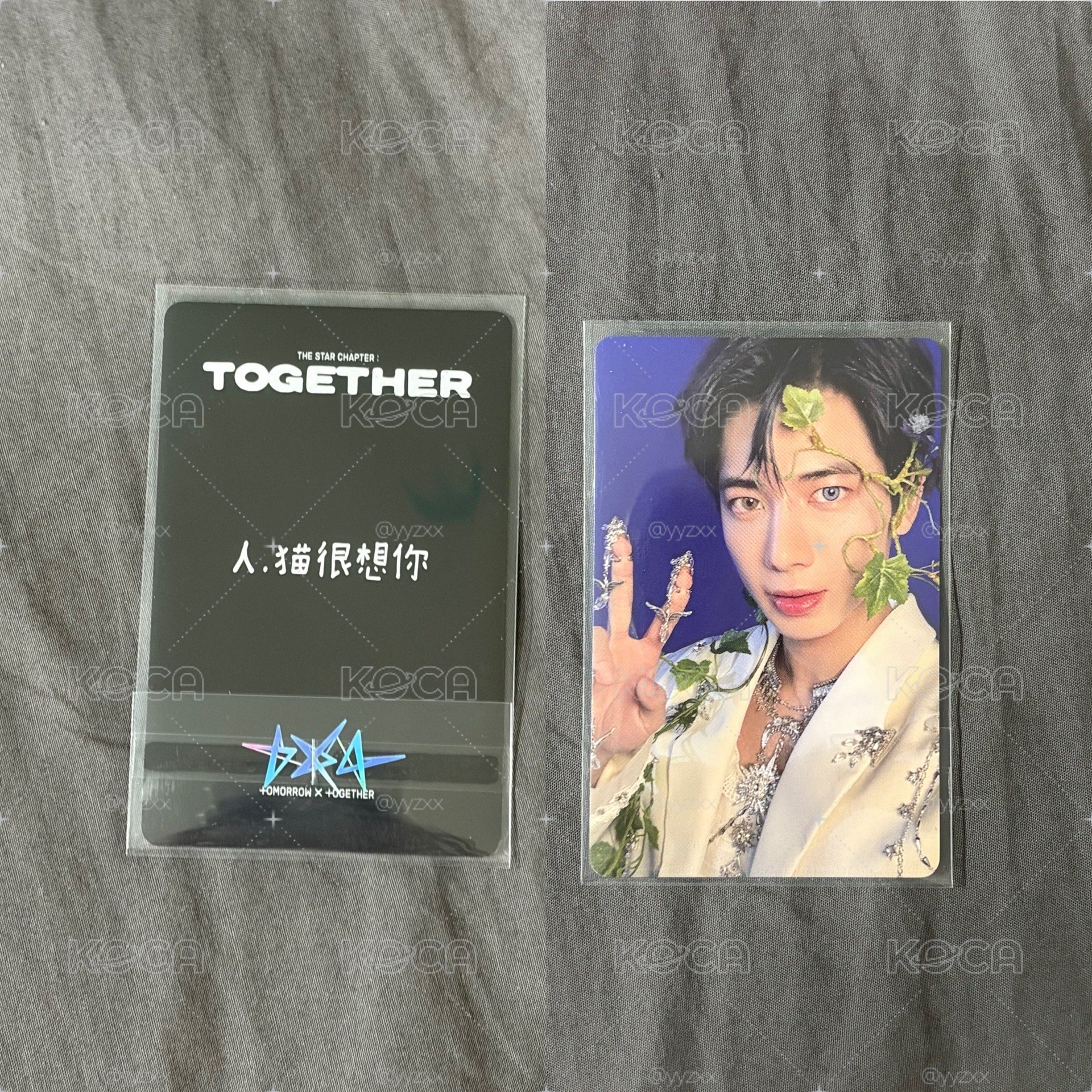 人，貓很想你