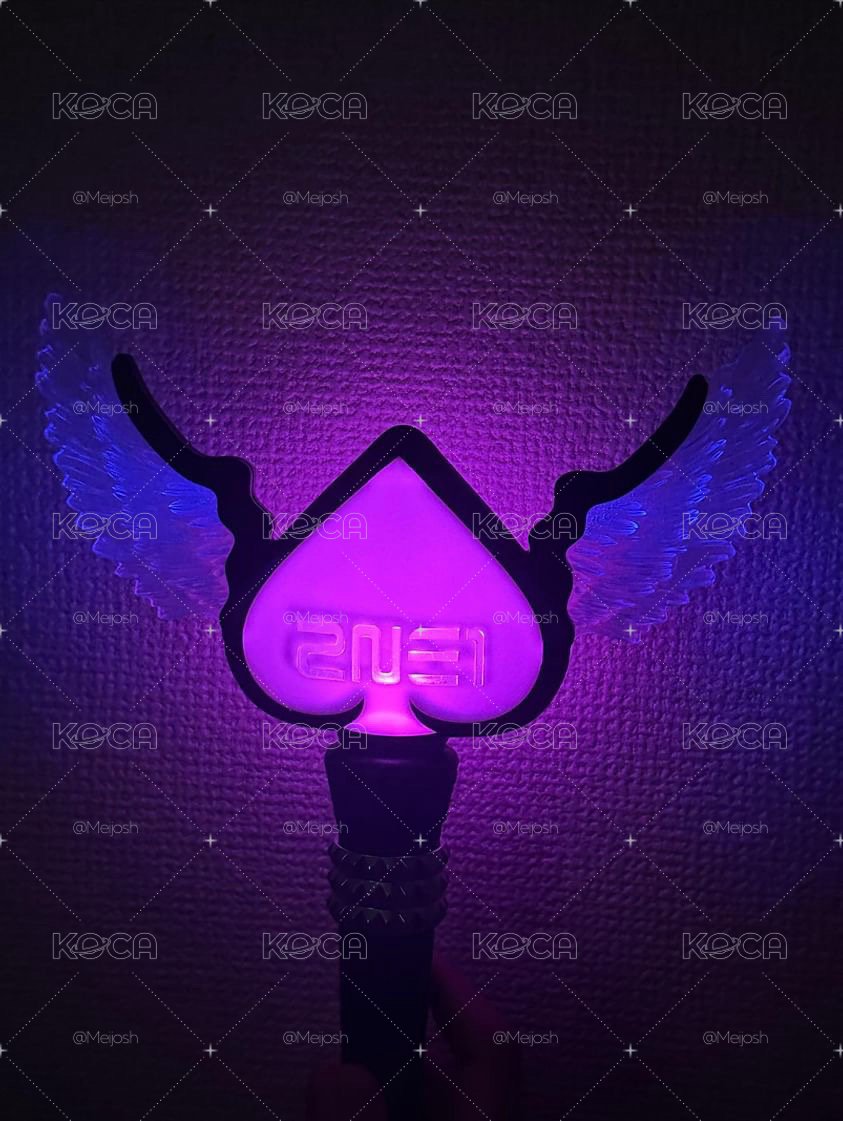 2NE1絕版翅膀手燈 🪽