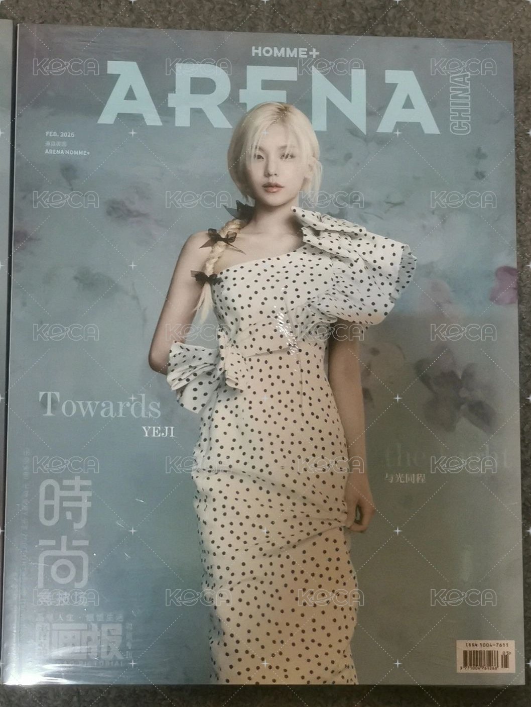 雜誌B