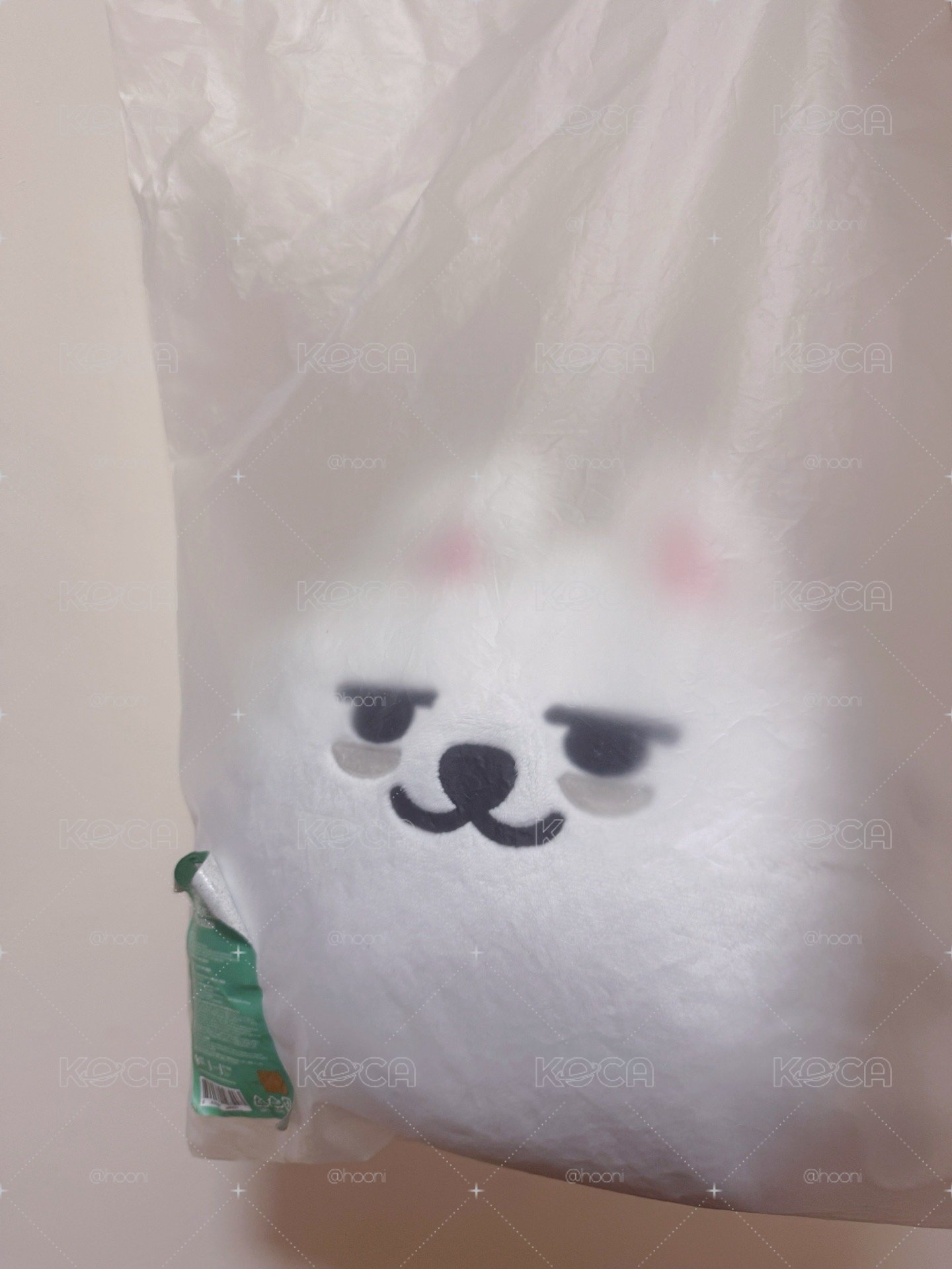 崔勇猛抱枕（越南批次）