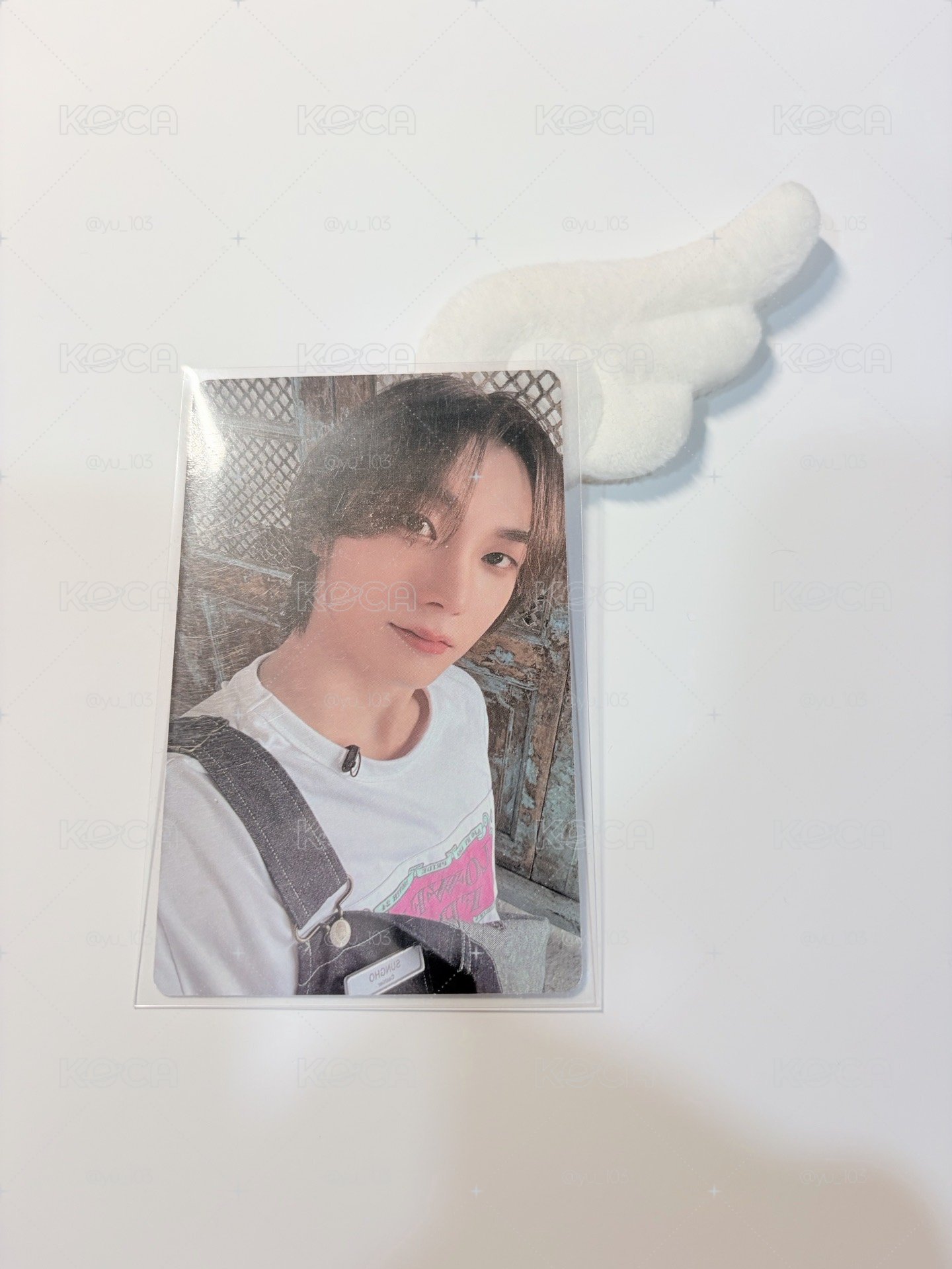 朴成淏19.99 wvs直播卡