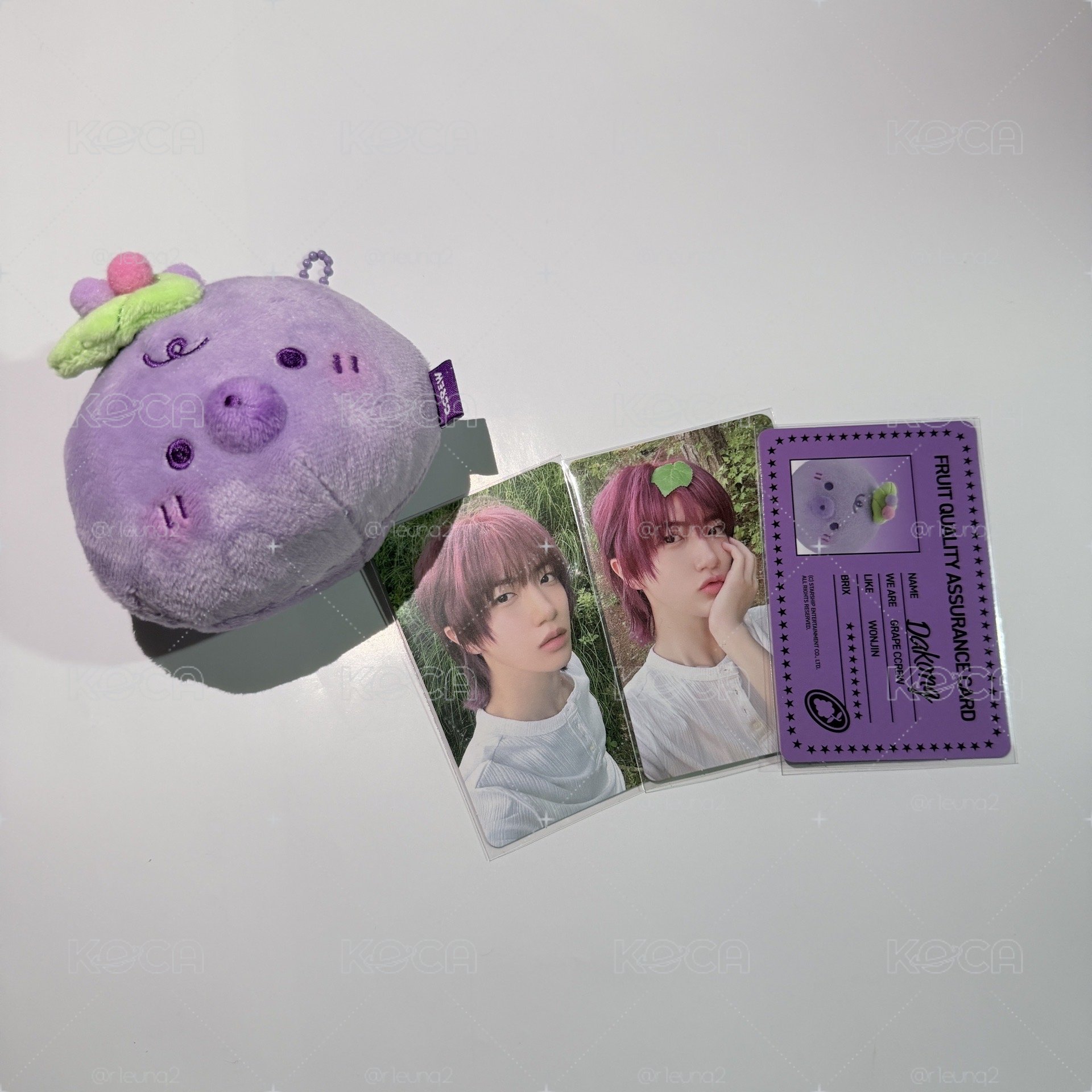 CRVT｜咸葡萄娃🍇