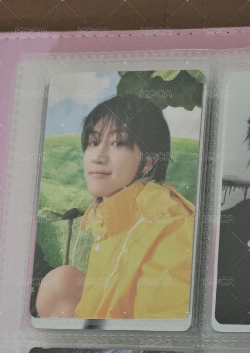 穿雨衣坐著的小八