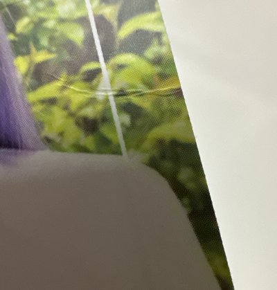 DICON A版官拍