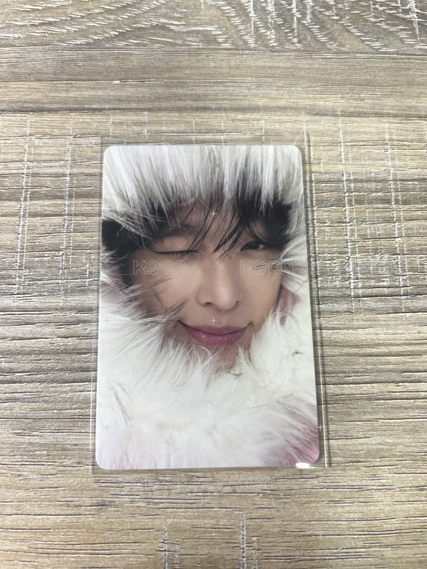 小陸