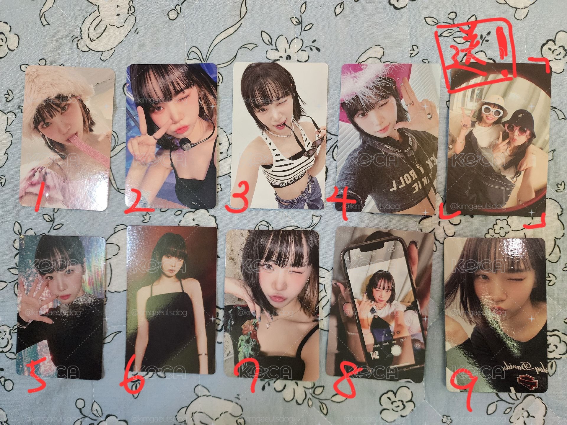 LSF 采源盤！