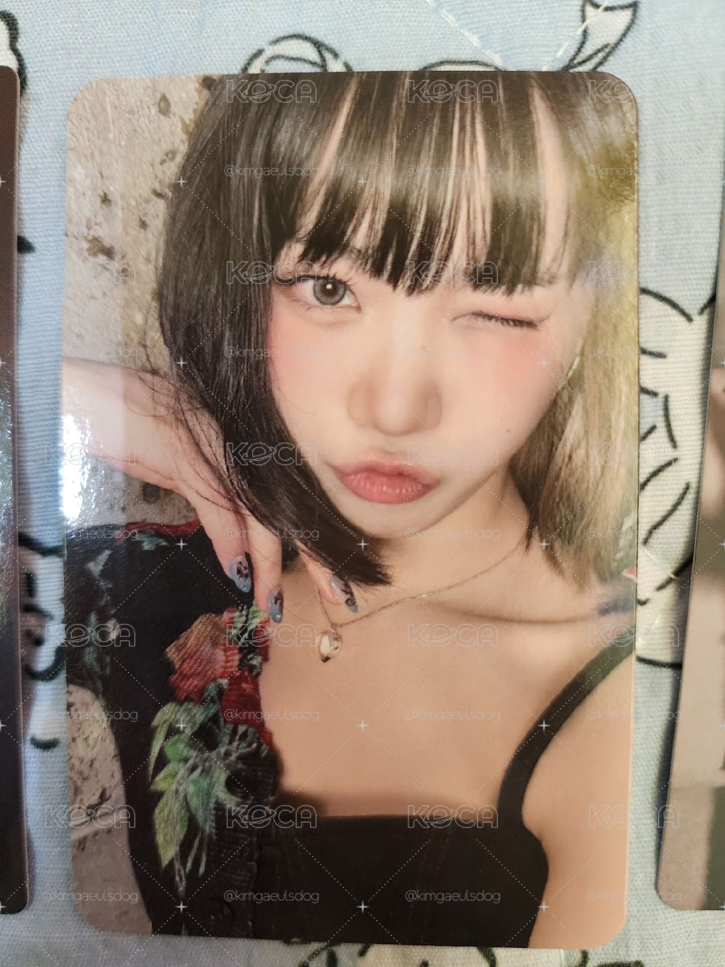 LSF 采源盤！