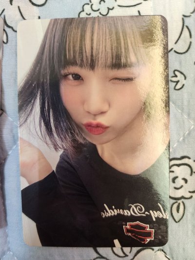 LSF 采源盤！