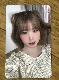 隨機卡 /本田