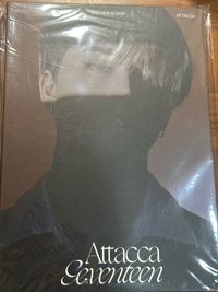 李燦迷九克拉盤