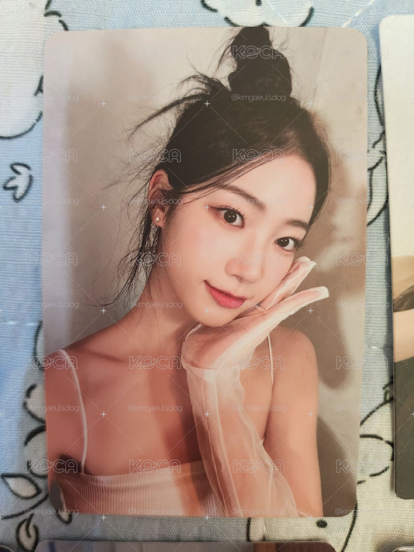 LSF 一葉＆允真盤！