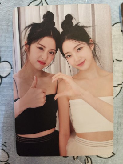 LSF 一葉＆允真盤！