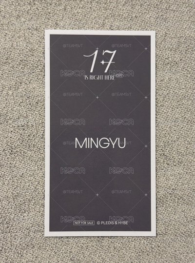 2024 SVT CAFE 入場特典 奎